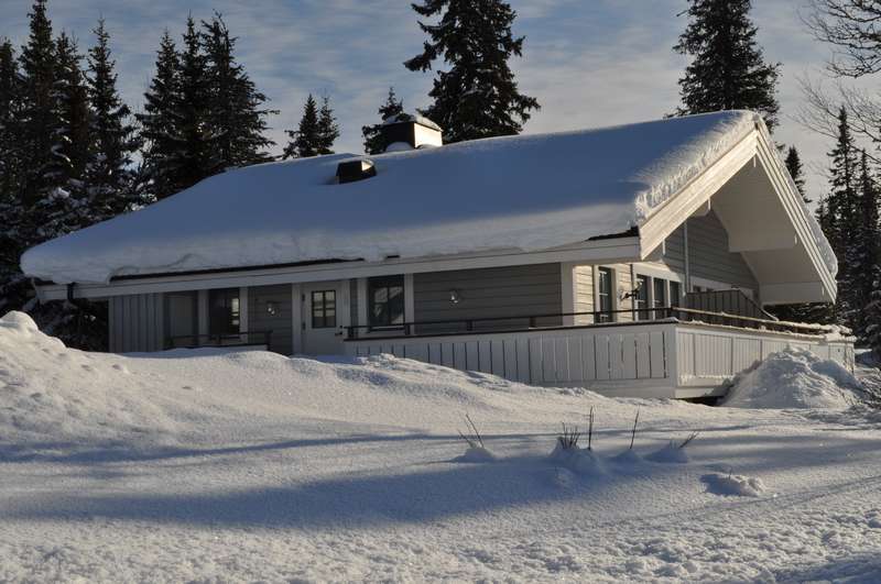 En bild på stuga 168, Bårdvägen 6 B