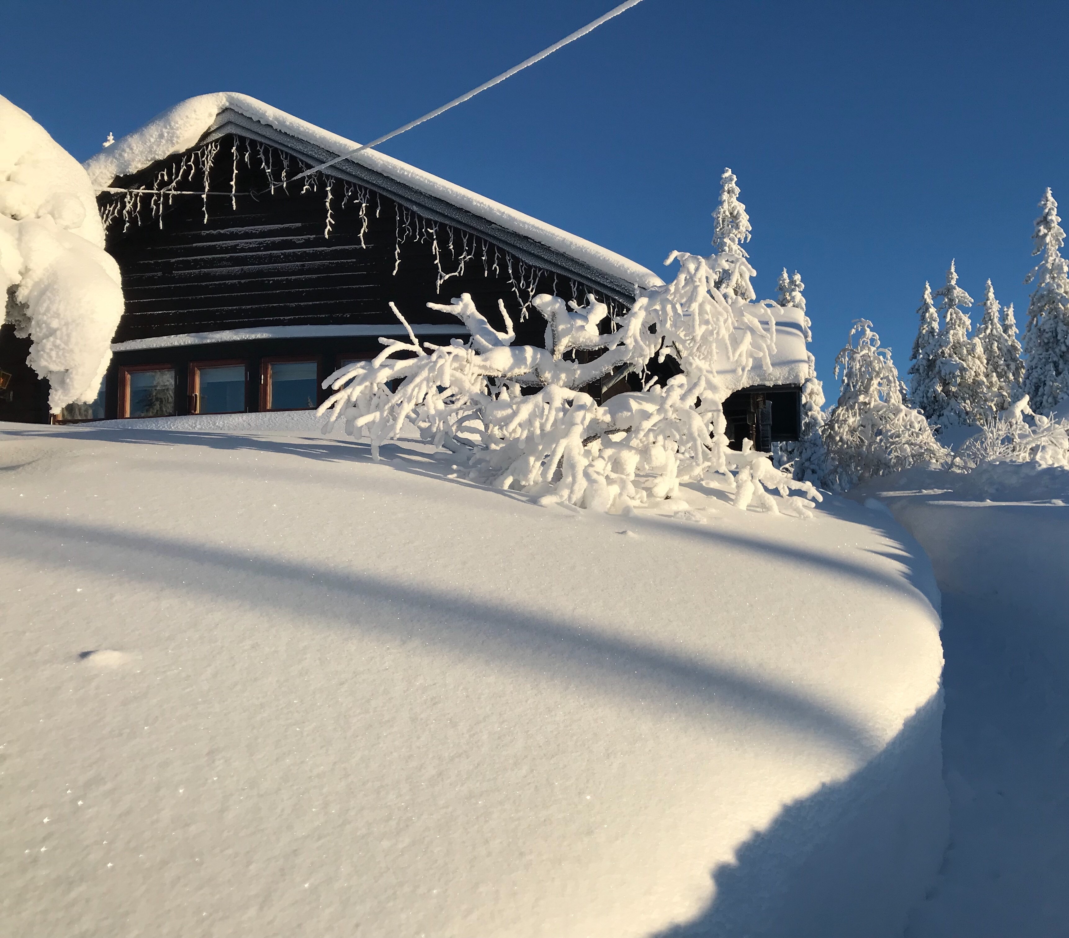 En bild på stuga B81, Fjällvenstigen 15