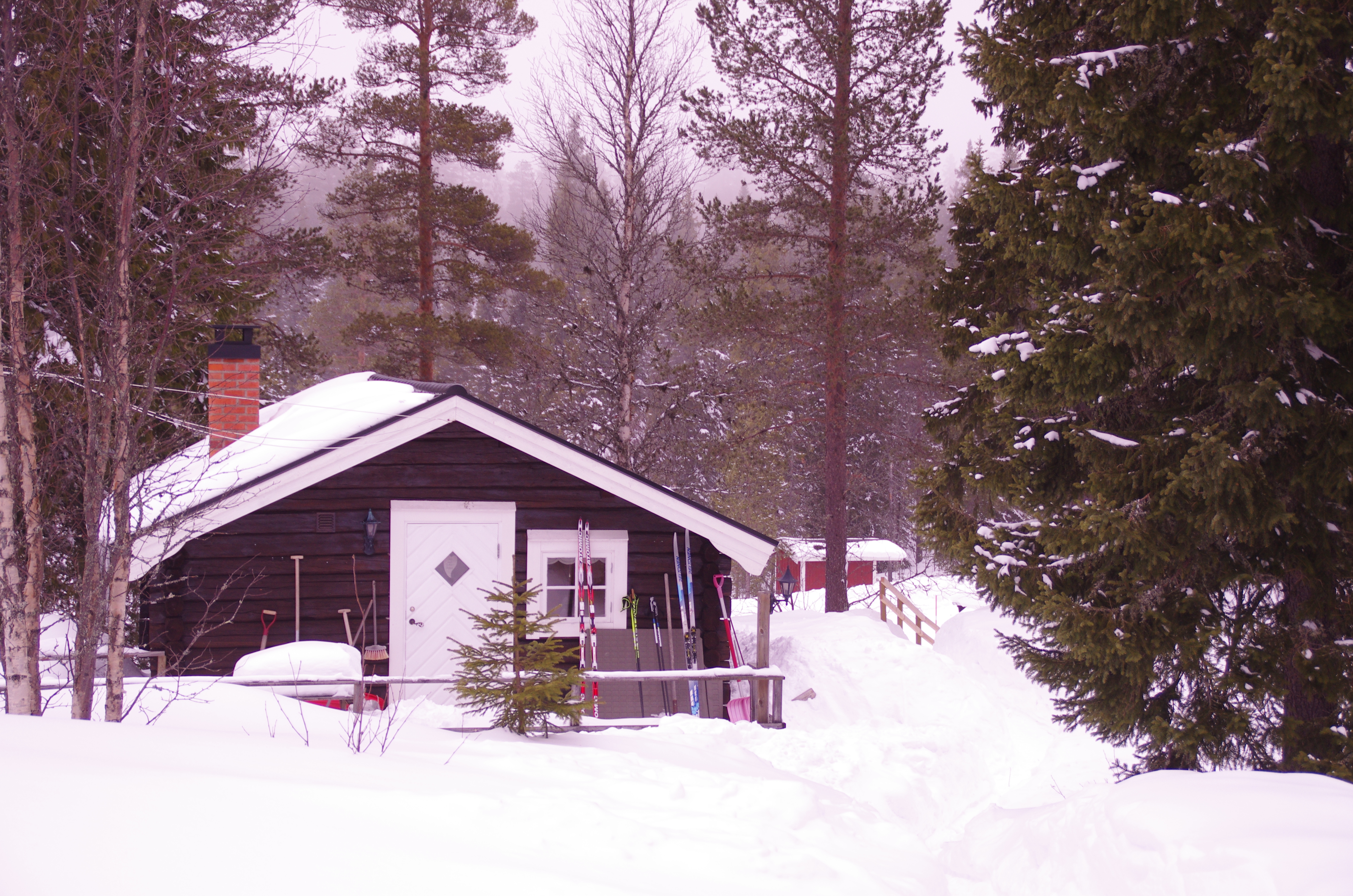 En bild på stuga B83, Kottvägen 17