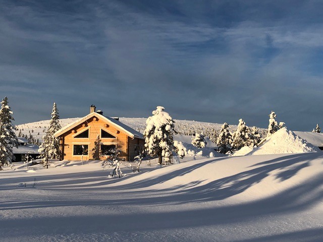En bild på stuga E28, Tallmyrslingan 29