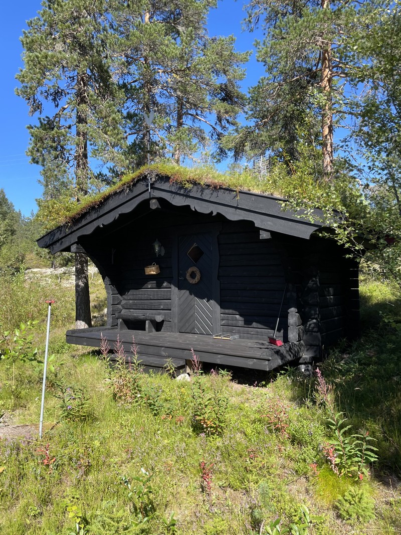 Sovstugan